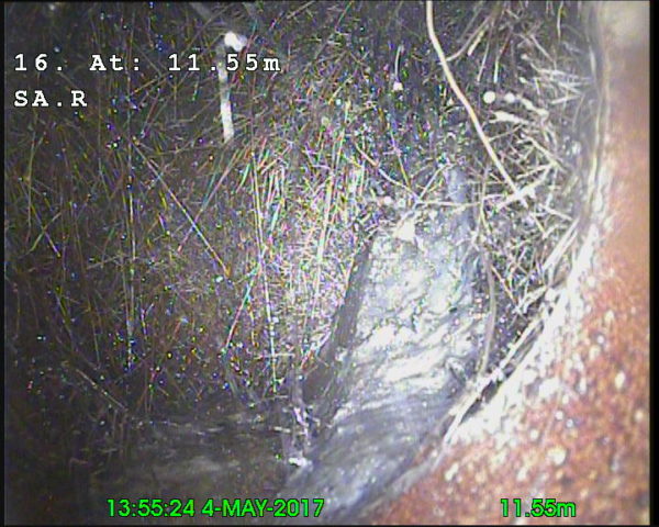 cctv-04-Severe root ingress